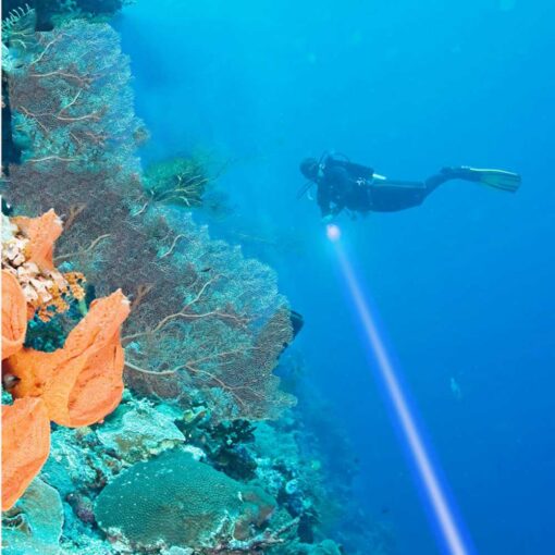 Orca Waterproof Blue Laser IP7 to 30 meters